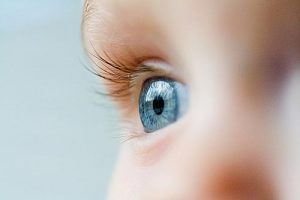 Assessing Eye Integrity