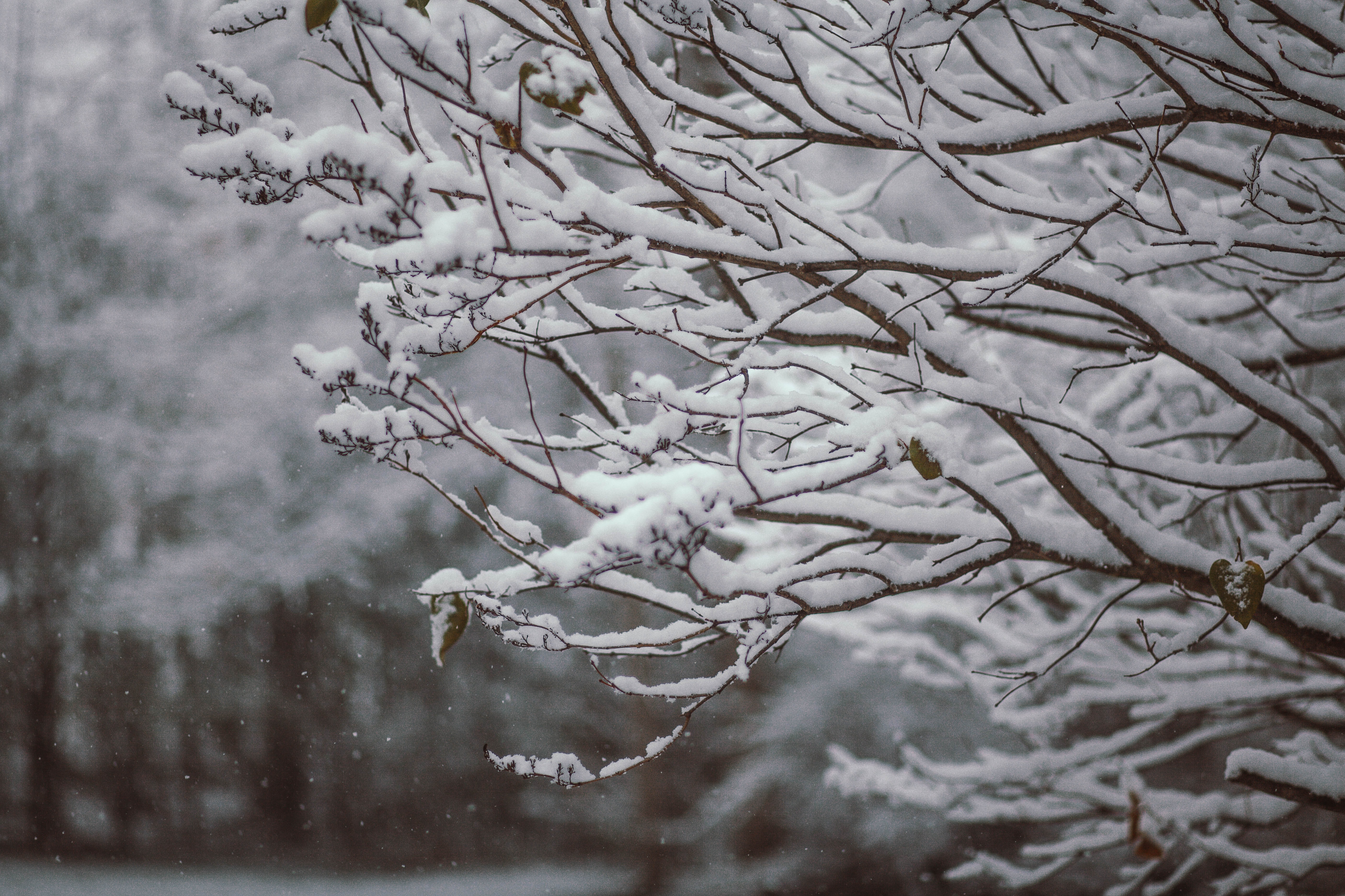 Snow Day, The OT Way: 3 Fun Indoor Sensory Activities